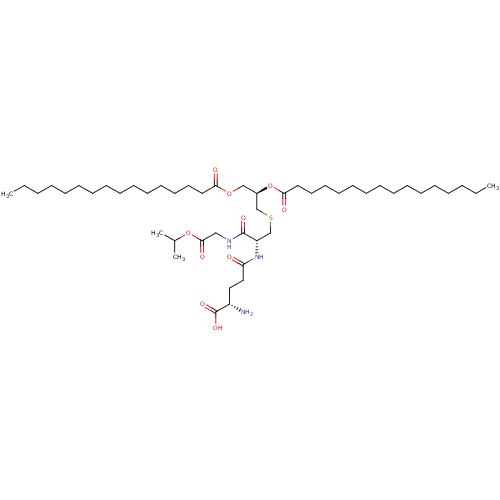 PNG