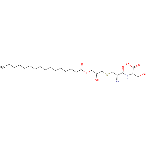 PNG
