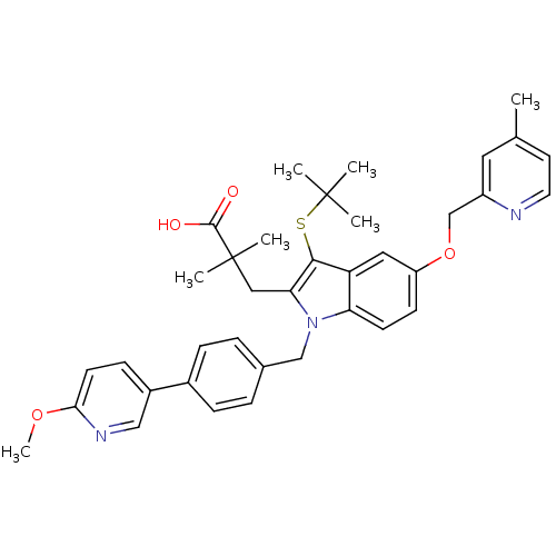 PNG