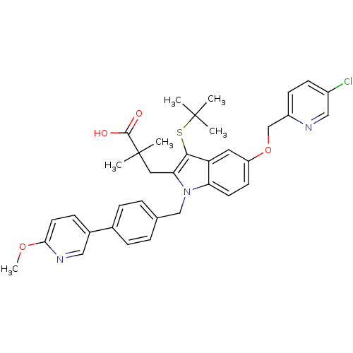 PNG