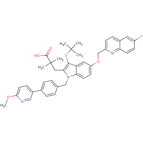 PNG