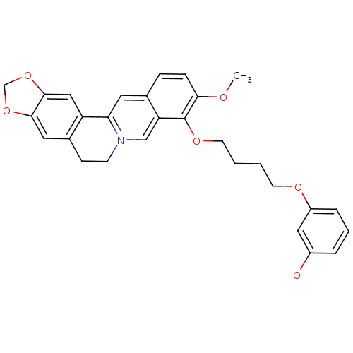 PNG