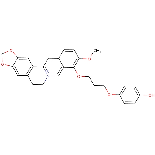 PNG