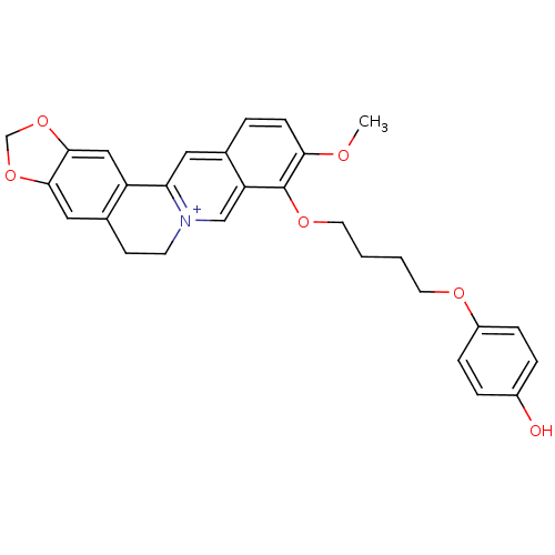 PNG