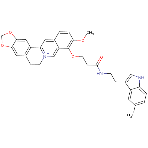 PNG