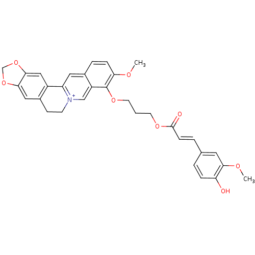PNG