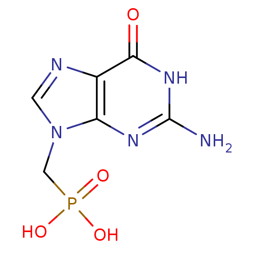 PNG