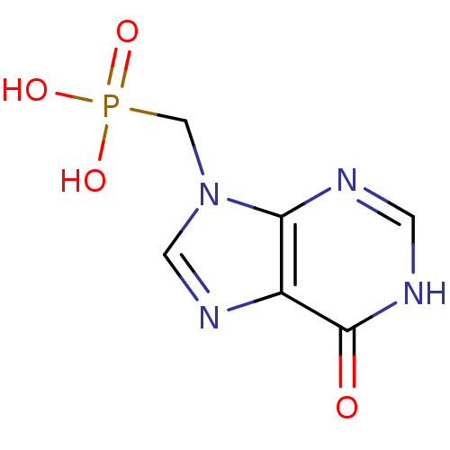 PNG