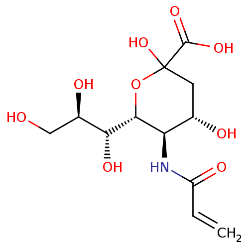 PNG