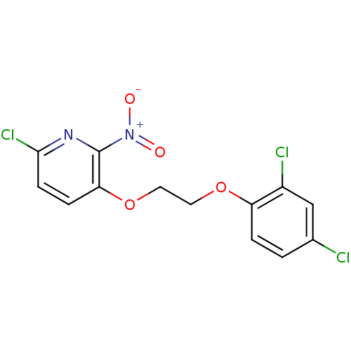 PNG