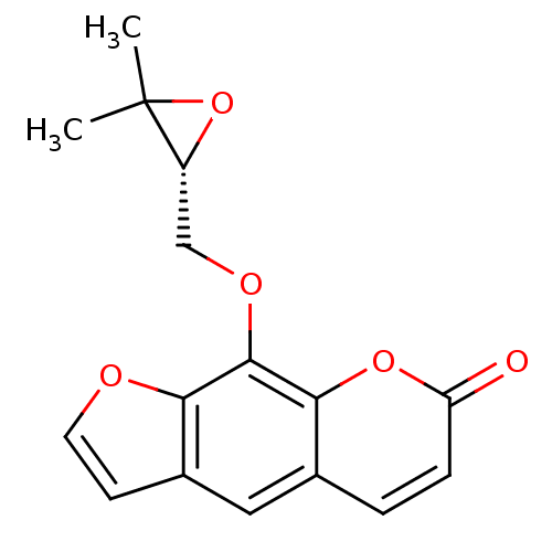 PNG