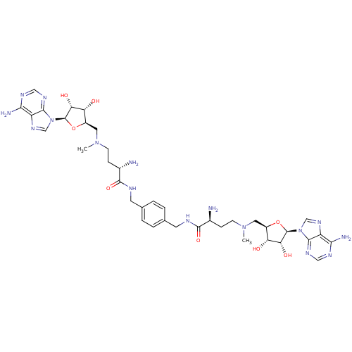 PNG