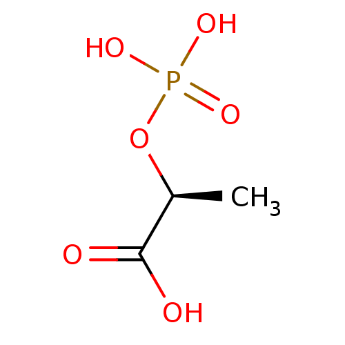 PNG