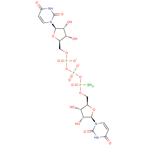 PNG