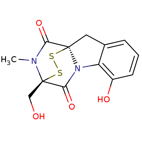 PNG