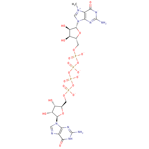 PNG
