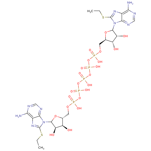 PNG
