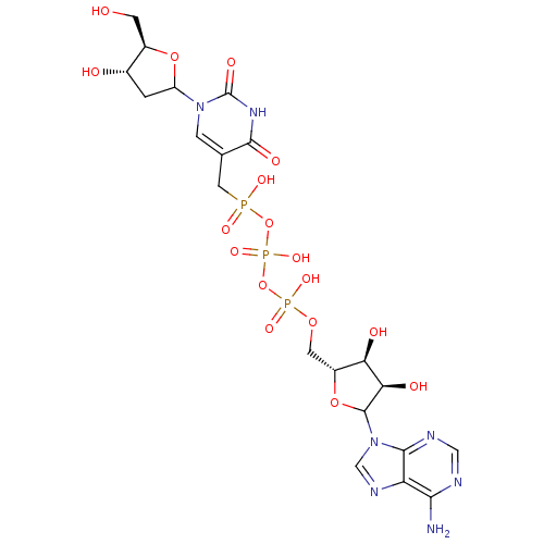 PNG