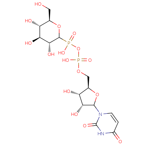 PNG