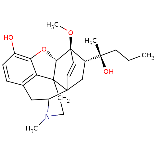 PNG