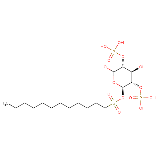PNG
