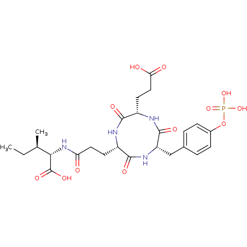 PNG