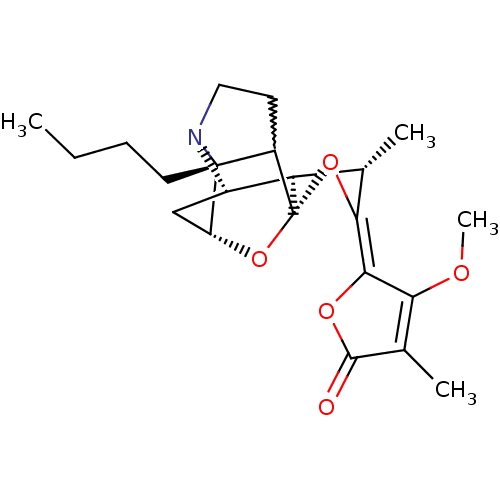 PNG