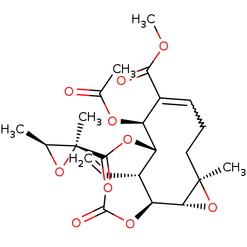 PNG