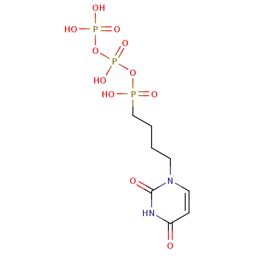 PNG