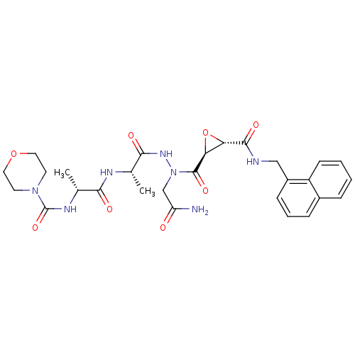 PNG