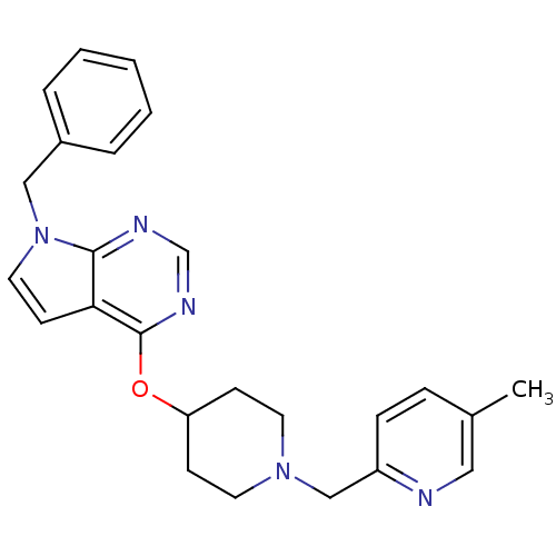 PNG