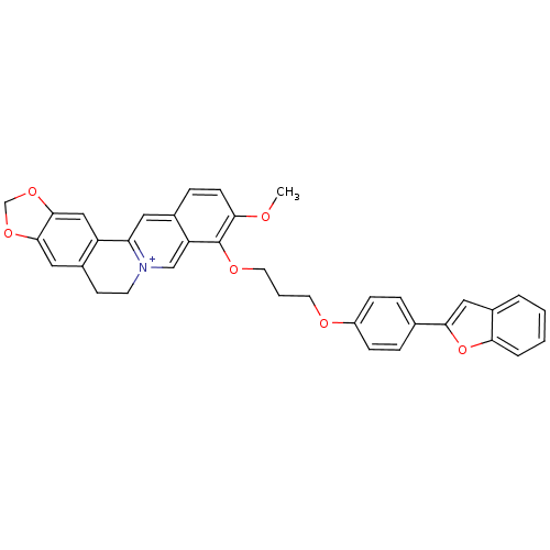 PNG