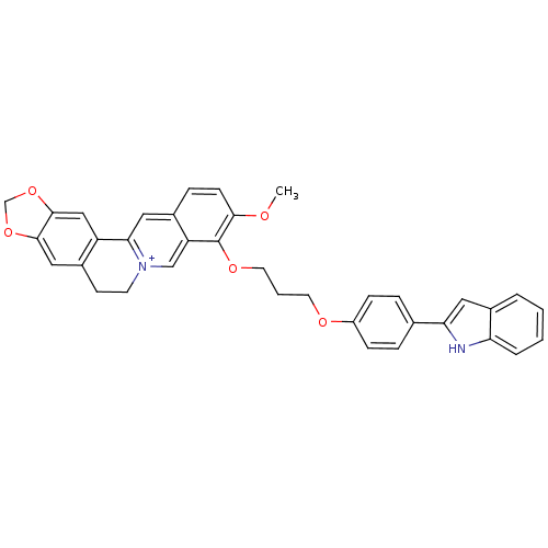 PNG