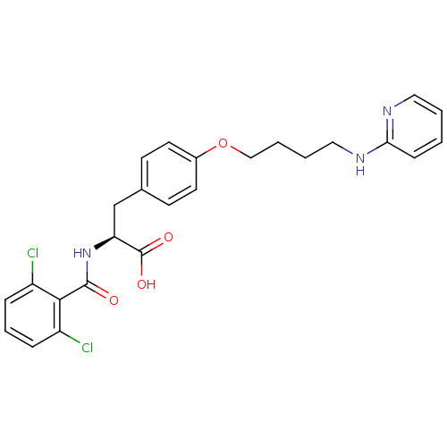 PNG