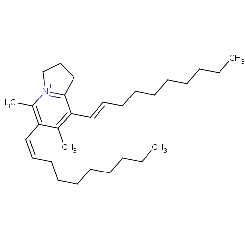 PNG
