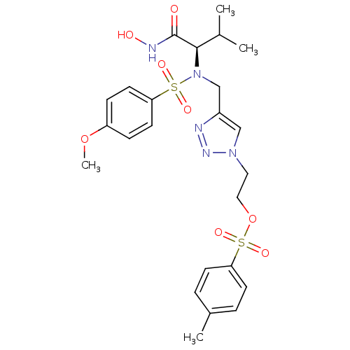 PNG