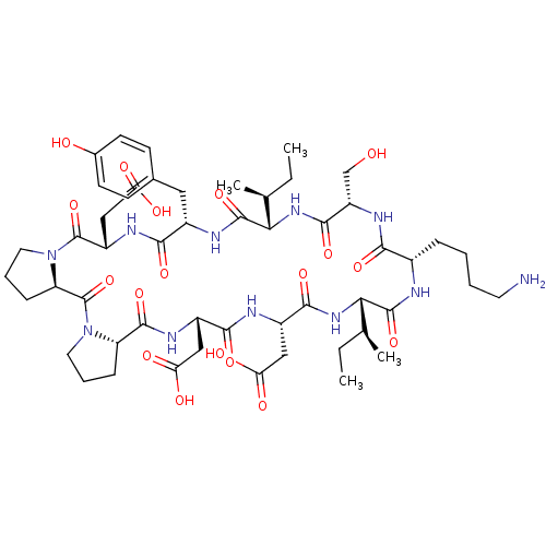 PNG