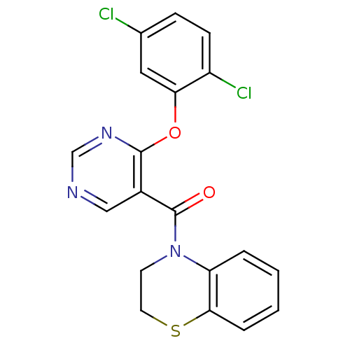 PNG