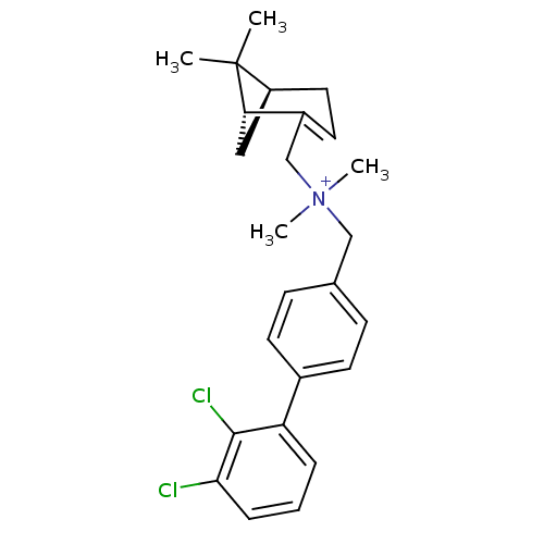PNG