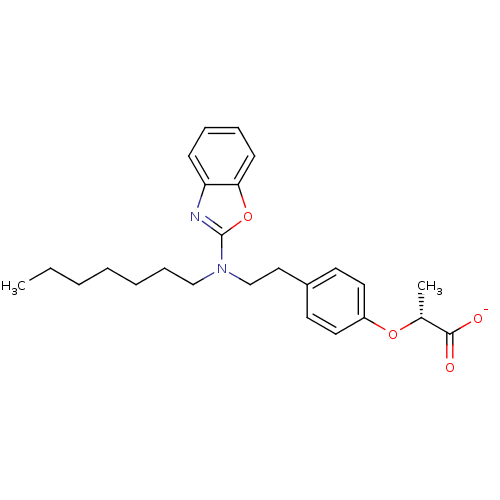 PNG