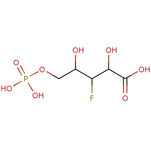 PNG