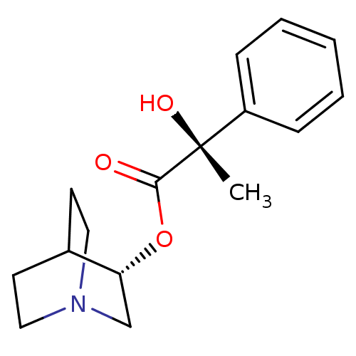 PNG