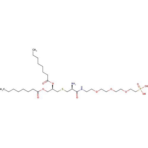 PNG