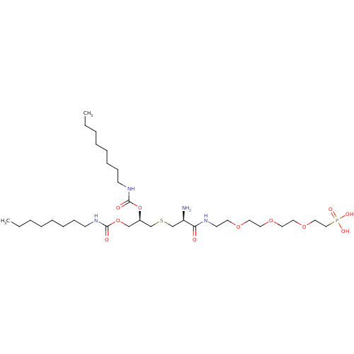 PNG