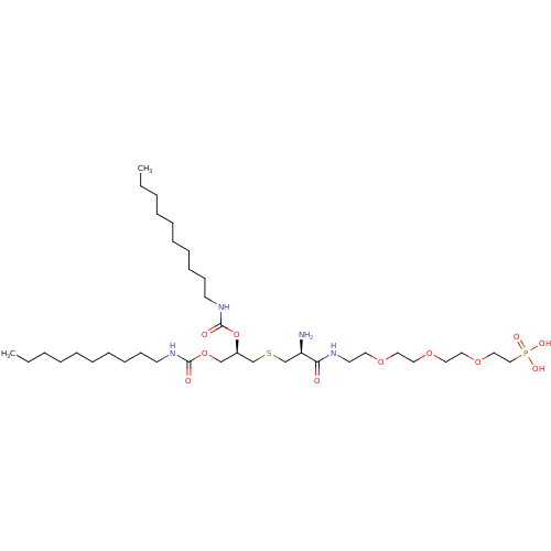 PNG