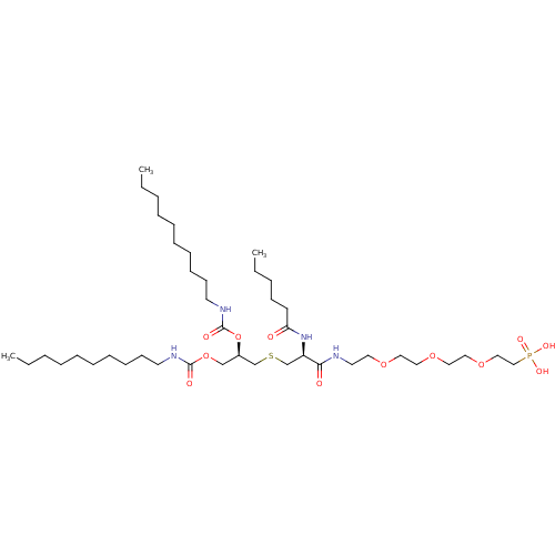 PNG