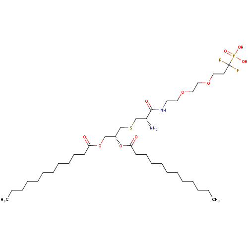 PNG