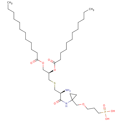 PNG