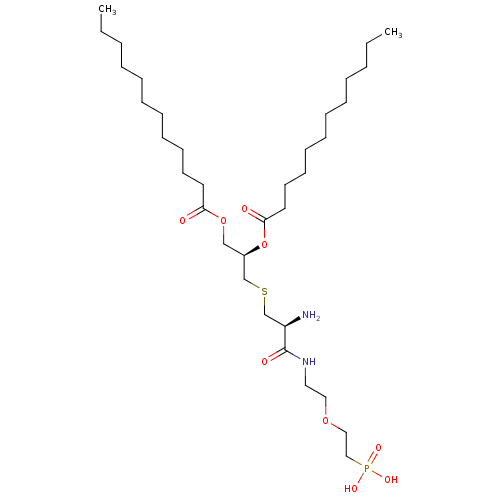 PNG