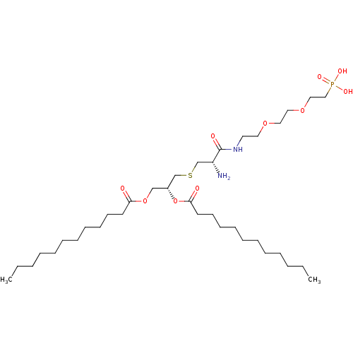 PNG